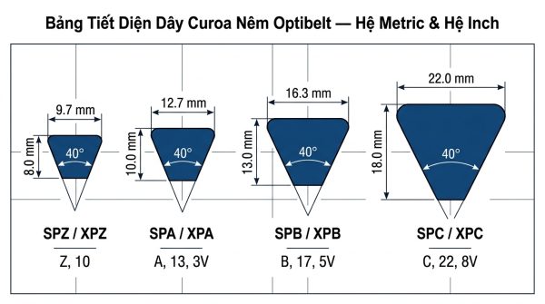 Bảng tiết diện dây curoa nêm Optibelt SPZ SPA SPB SPC so sánh kích thước