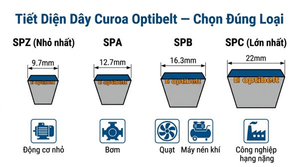 Bảng so sánh tiết diện dây curoa Optibelt: SPZ (9.7mm), SPA (12.7mm), SPB (16.3mm), SPC (22mm) — ứng dụng và công suất tương ứng